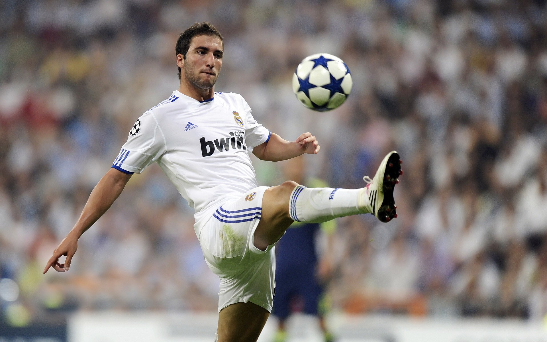 职业联赛品牌联动缺乏行业矩阵效应，联赛品牌价值